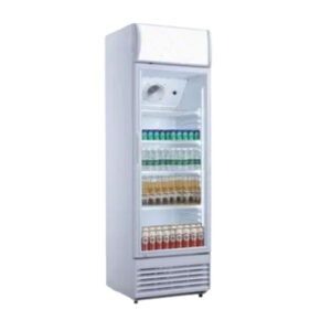 220 Ltr. Rockwell, Visi Cooler / Freezer with 1 Door - RVC300A