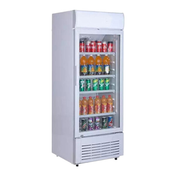 300 Ltr. Rockwell, Visi Cooler / Freezer with 1 Door - RVC390A